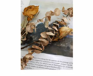 Detail of chunky link necklace set on vintage pages with dried roses and eucalyptus