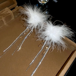 Detailed macro of white feather tassel earrings with sparkling rhinestones in a jewelry box