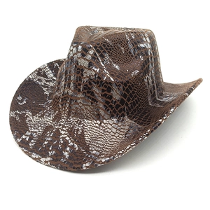 Détail d'un chapeau de cow-boy avec texture serpent marron et argent et bord incurvé