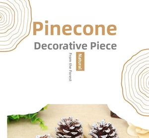 Macro detail of natural pine cones with white snow effect for Christmas home decoration