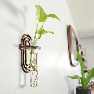 Wall-mounted dark wood test tube plant propagator with a clear glass vase for hydroponics