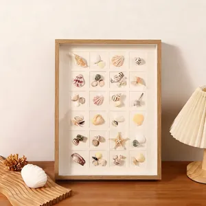 Marco Vitrina Expositores Colección Especímenes Conchas Madera MDF Rejilla Decoración Hogar Estilo Marino Minimalista Mesa