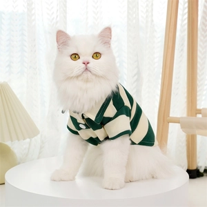 Close-up of a white cat wearing a green and white striped knit polo shirt with button detail