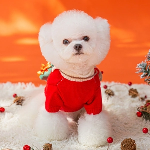 Comodo maglione in maglia rossa per cani e gatti, ideale per Natale e inverno freddo.