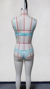 Rear view of mesh lingerie set in light blue featuring adjustable straps and hook eye closure