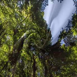 Dettaglio dell'arazzo forestale che mostra la trama del tessuto e i colori vivaci