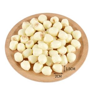 Realistic PVC lotus seeds 2x1.5cm miniature food model props for dollhouse DIY projects