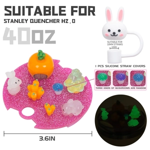 Glow-in-the-dark 40oz tumbler nameplate and rabbit straw cover detail dimensions