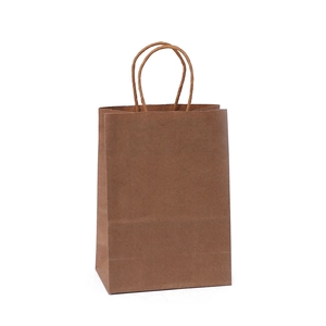 Eco-friendly brown kraft paper shopping bag with twisted rope handle on white background