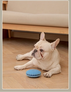 Balle en caoutchouc bleue texturée pour le nettoyage dentaire et le jeu pour chiens