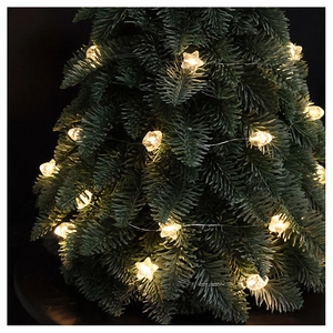 Close-up of warm white star-shaped LED fairy lights glowing on green Christmas tree branches