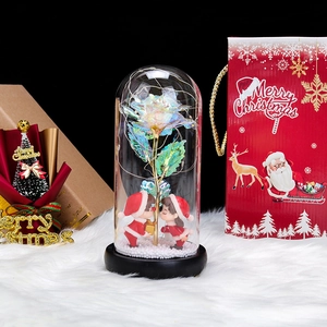 Close-up of glass dome decoration with light-up rainbow rose and Merry Christmas gift bag