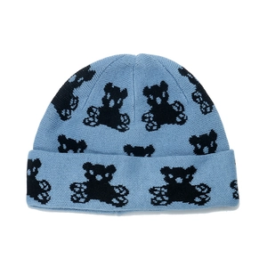 Light blue winter beanie with cute bear pattern and thick folded cuff for cold weather