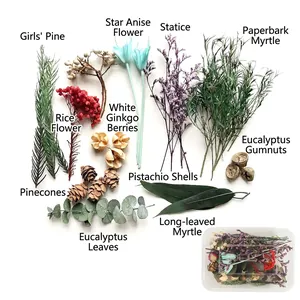 Set fai-da-te di fiori secchi assortiti con pigne e foglie di eucalipto in scatola