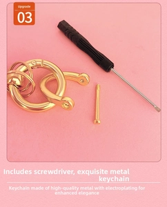 Polished gold metal horseshoe keychain set with screwdriver on pink background