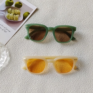 2024 retro square sunglasses with translucent frames and tinted lenses for men and women