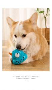 Blue monster dog chew toy made of wooden plastic being used by a Corgi for teeth cleaning