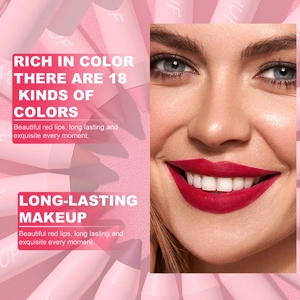 Detail von 18 matten Lippenstiftstiften mit langanhaltender und wasserfester Textur