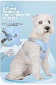 X-shaped dog harness detail in light blue with adjustable grey straps and metal hooks