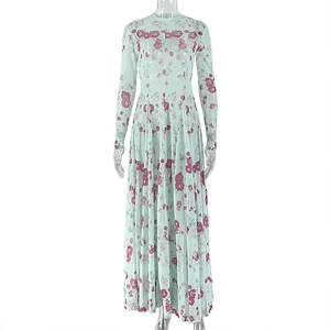 Detail of light blue floral mesh dress with red flower print and long sheer sleeves
