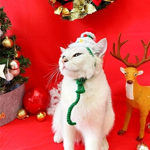 Close-up of a white cat wearing a festive knitted Christmas hat with pompom and green ties