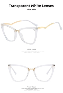 Detail view of cat-eye glasses frame with transparent plastic and gold metal temples