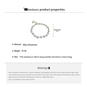 Détails du collier à strass brillants avec spécifications de longueur et dimensions