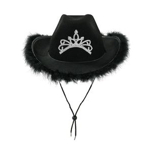 Close-up of black felt cowboy hat featuring silver rhinestone crown and feather trim