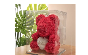 Detail of red PE rose bear with white heart and crown in a clear gift box on wood