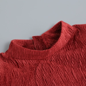Detail of burgundy pleated mock neck top featuring a high collar and vertical fabric texture