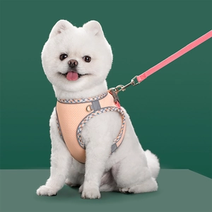 Detail of breathable mesh pet harness with reflective strip on a white Pomeranian