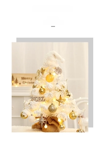 Mini white flocked Christmas tree detail with LED lights and Noel wooden tag
