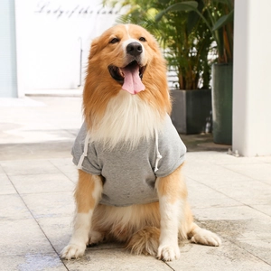 Outdoor close-up of a golden retriever wearing a warm grey fleece dog hoodie with drawstring