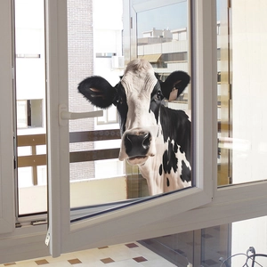 Detail of creative 3D cow window sticker showing realistic animal peeping through glass