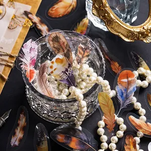 Artistic feather PET stickers set for scrapbooking and DIY crafts decoration