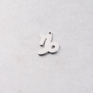 Macro shot of 15mm stainless steel Capricorn zodiac charm for DIY jewelry making