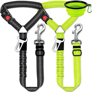 Kit ceinture de sécurité élastique chien avec bol de voyage pliable en silicone vert
