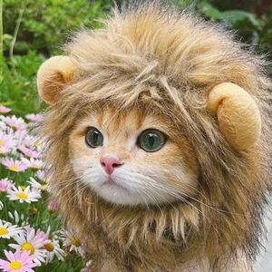 Detail of pet lion mane wig for cats and small dogs featuring soft brown faux fur and cute ears