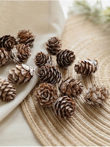 Close-up of natural pine cones with snow effect on woven mat for Christmas decor