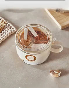 Macro view of 3-compartment spice box with ergonomic handle and transparent flip lid