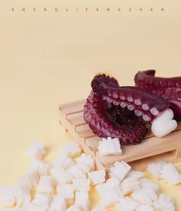 Macro detail of realistic PVC miniature octopus tentacle and faux squid chunks model