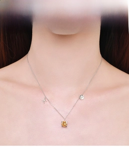 Detail of silver Pisces necklace with amber gemstone and butterfly charms on neck