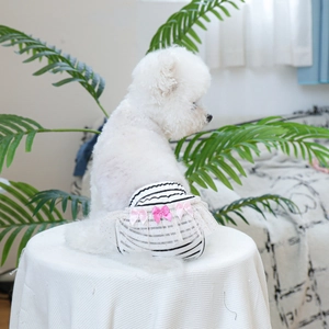 Detail of small dog wearing black striped physiological pants with pink bow and lace