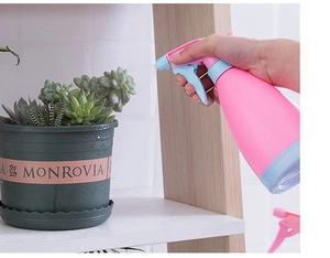 Pink handheld garden spray bottle watering succulents on a wooden shelf indoors