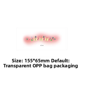 Detailed view of LT-14 butterfly and star pattern face gems sticker sized 155x65mm