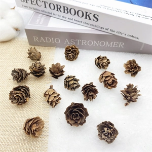 Flat lay of natural brown pine cones on white faux fur and linen fabric backgrounds