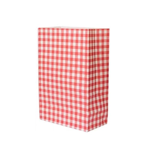 Professional photo of red and white checkered kraft paper gift bag on white background