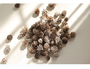 Natural pine cones and champagne gold pine nuts for DIY Christmas wreath decorations