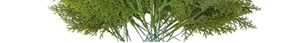 Detailed close-up of realistic green artificial pine and cypress needle branches