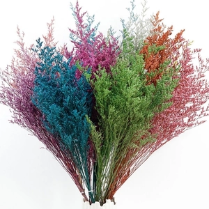 Vibrant mixed color dried Limonium flower bouquet for DIY decor on a white background